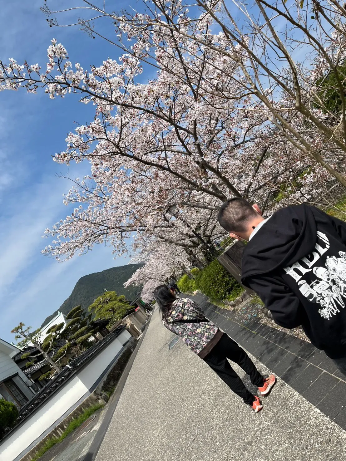 山口市の平井にある就労継続支援B型事業所で、素敵な花見レクリ...